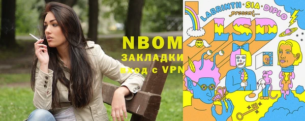 хмурый Алексин